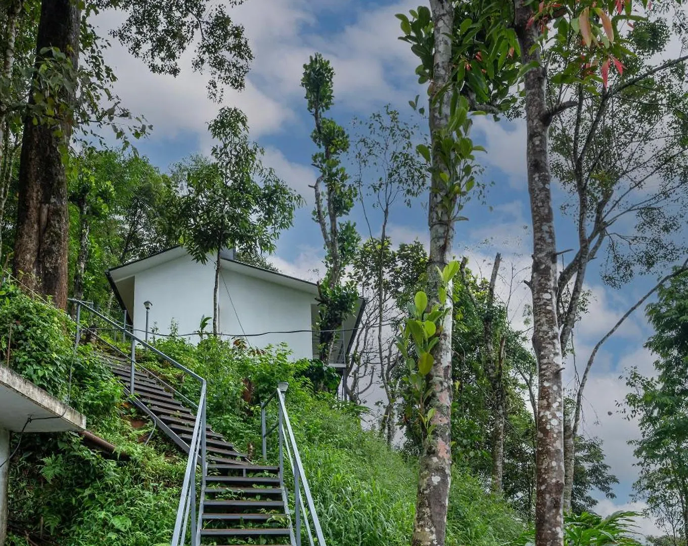 Wild Poetry Hotel Munnar