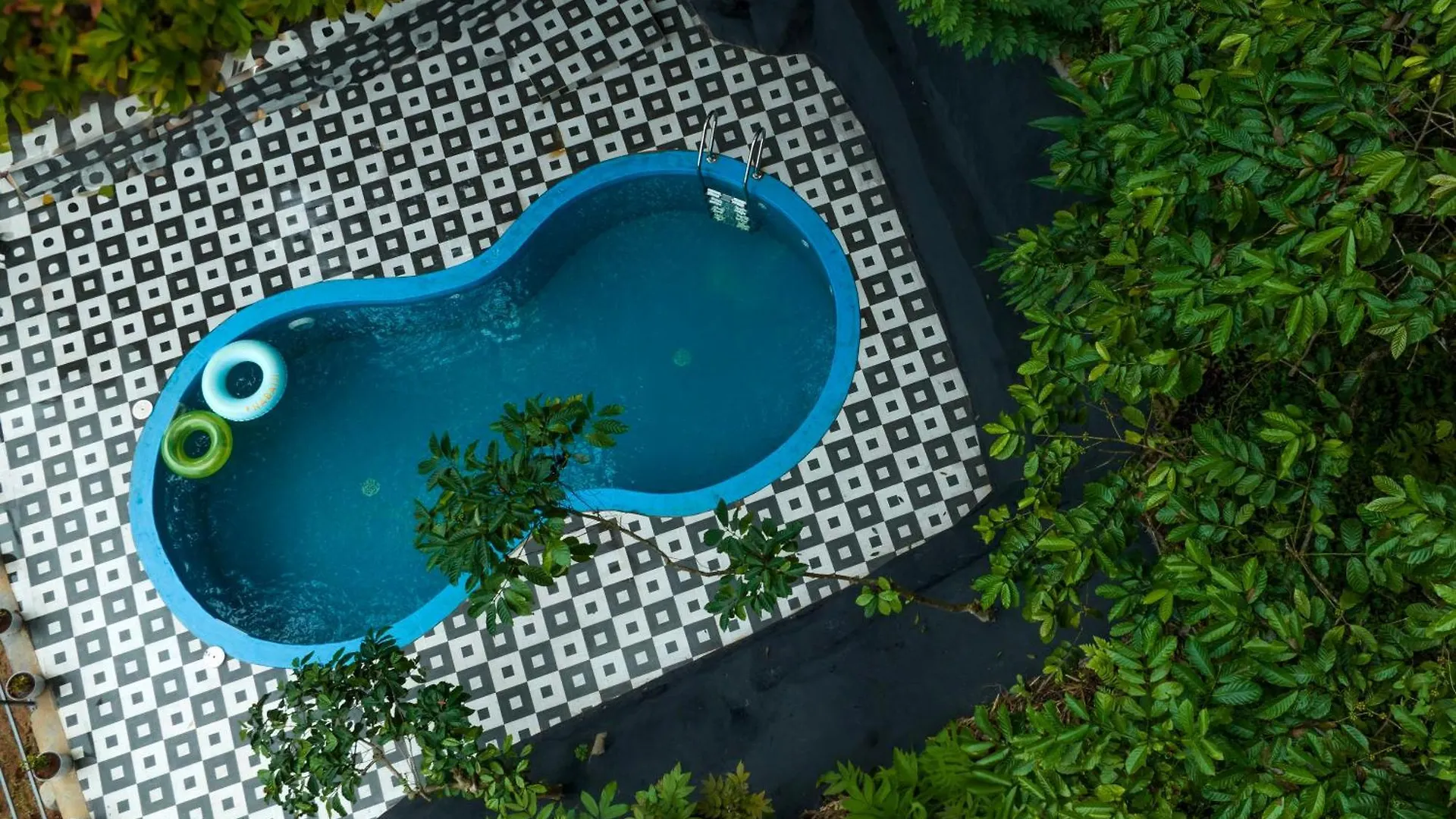 Wild Poetry Hotel Munnar India