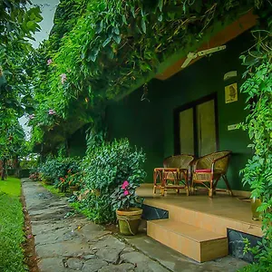 Ecotones By Eden Environs Resort