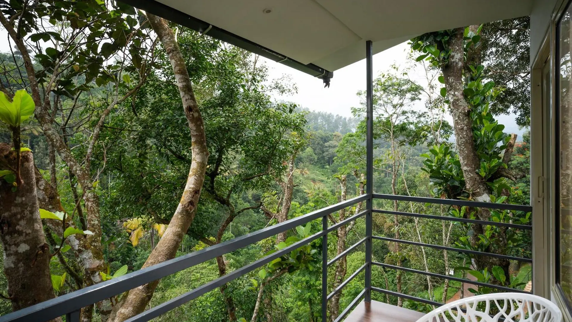 *** Resort Wild Poetry Hotel Munnar India