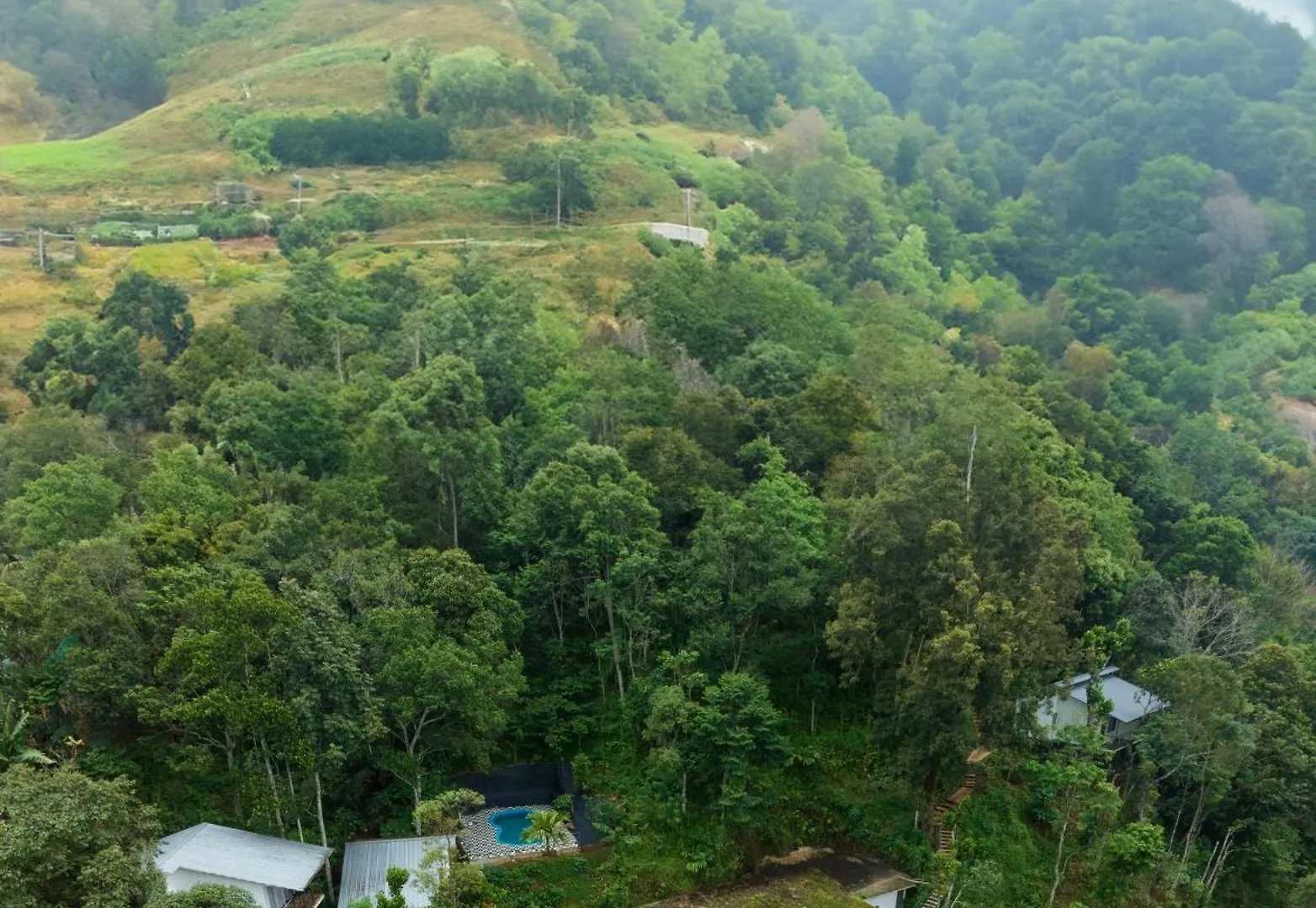 Wild Poetry Hotel Munnar Resort