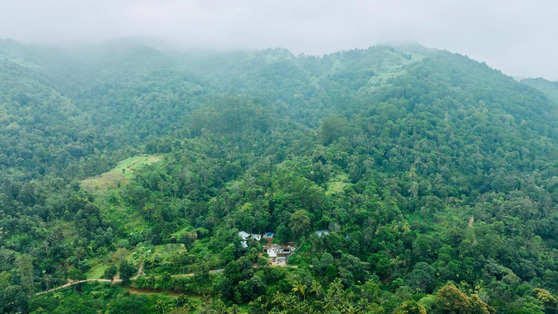 Wild Poetry Hotel Munnar